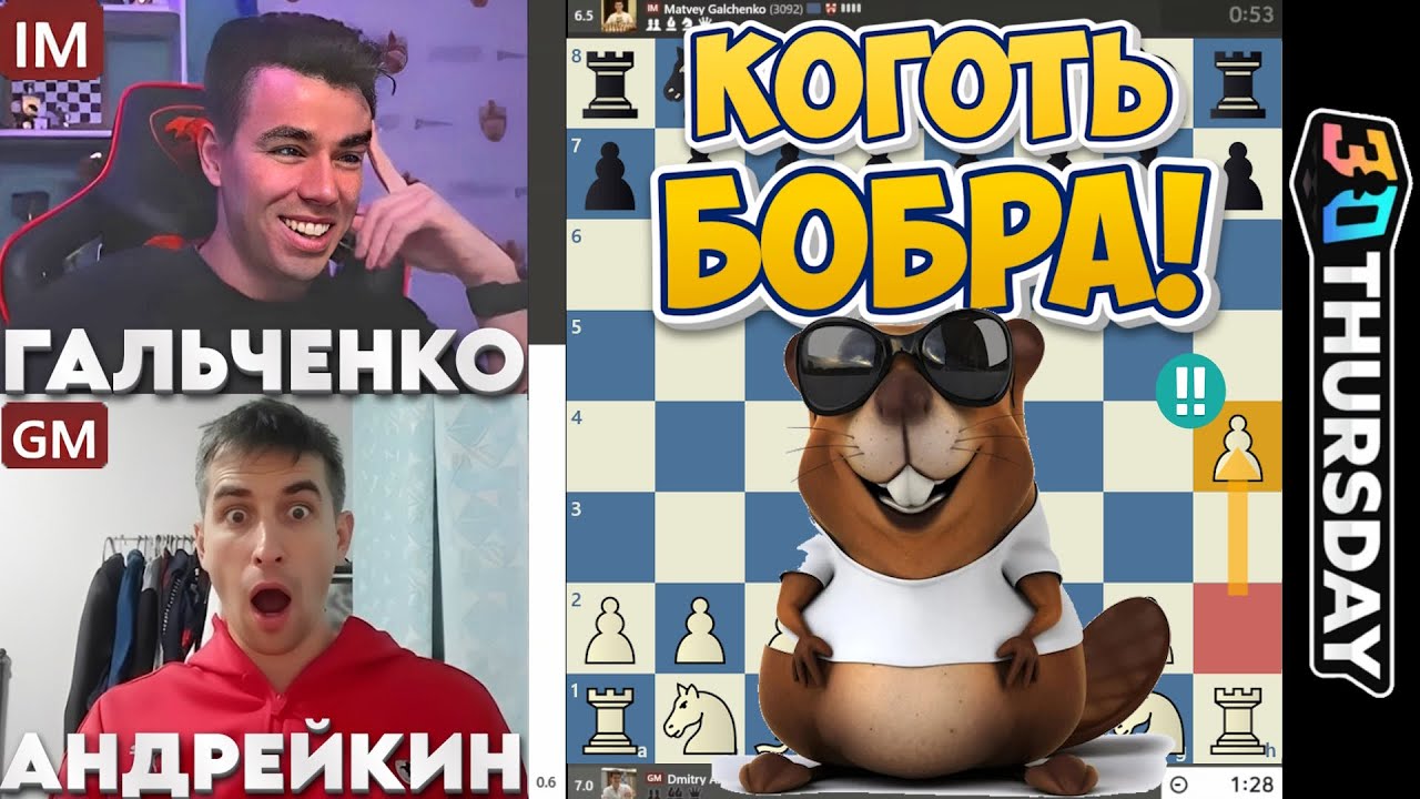 КОГОТЬ БОБРА! Дмитрий Андрейкин - Матвей Гальченко