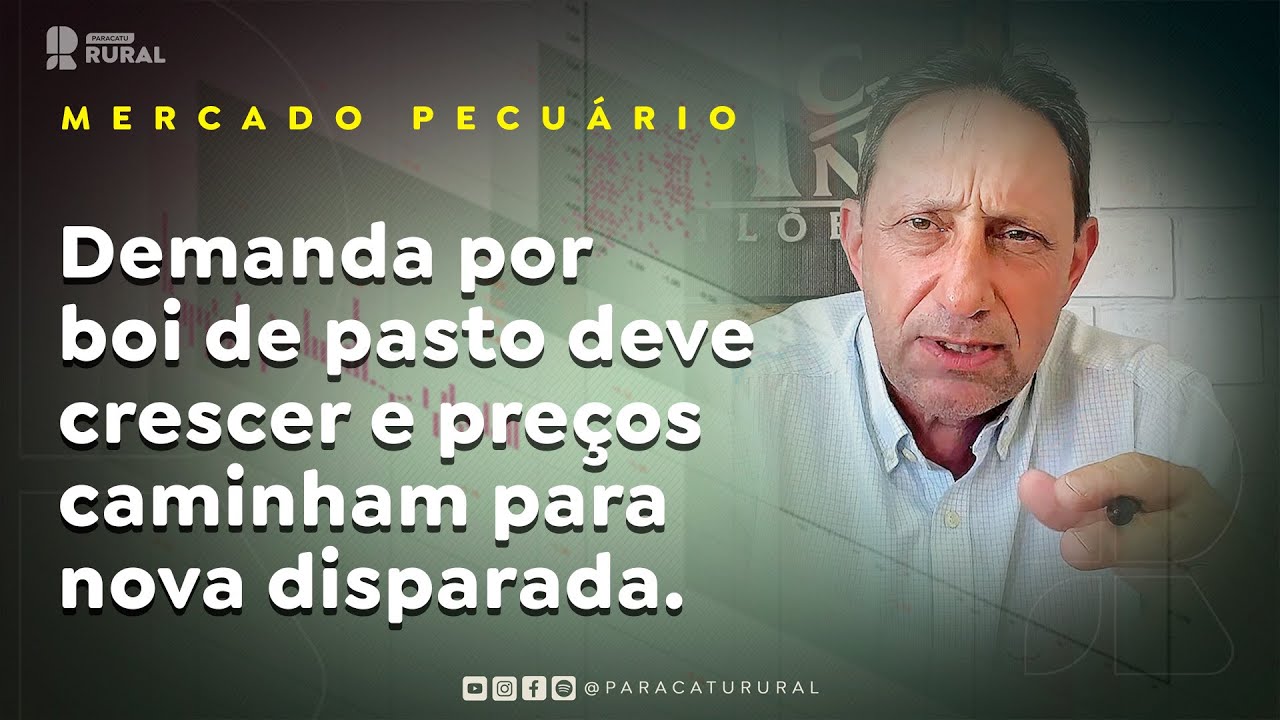 Demanda por boi de pasto deve crescer e preços caminham para nova disparada.