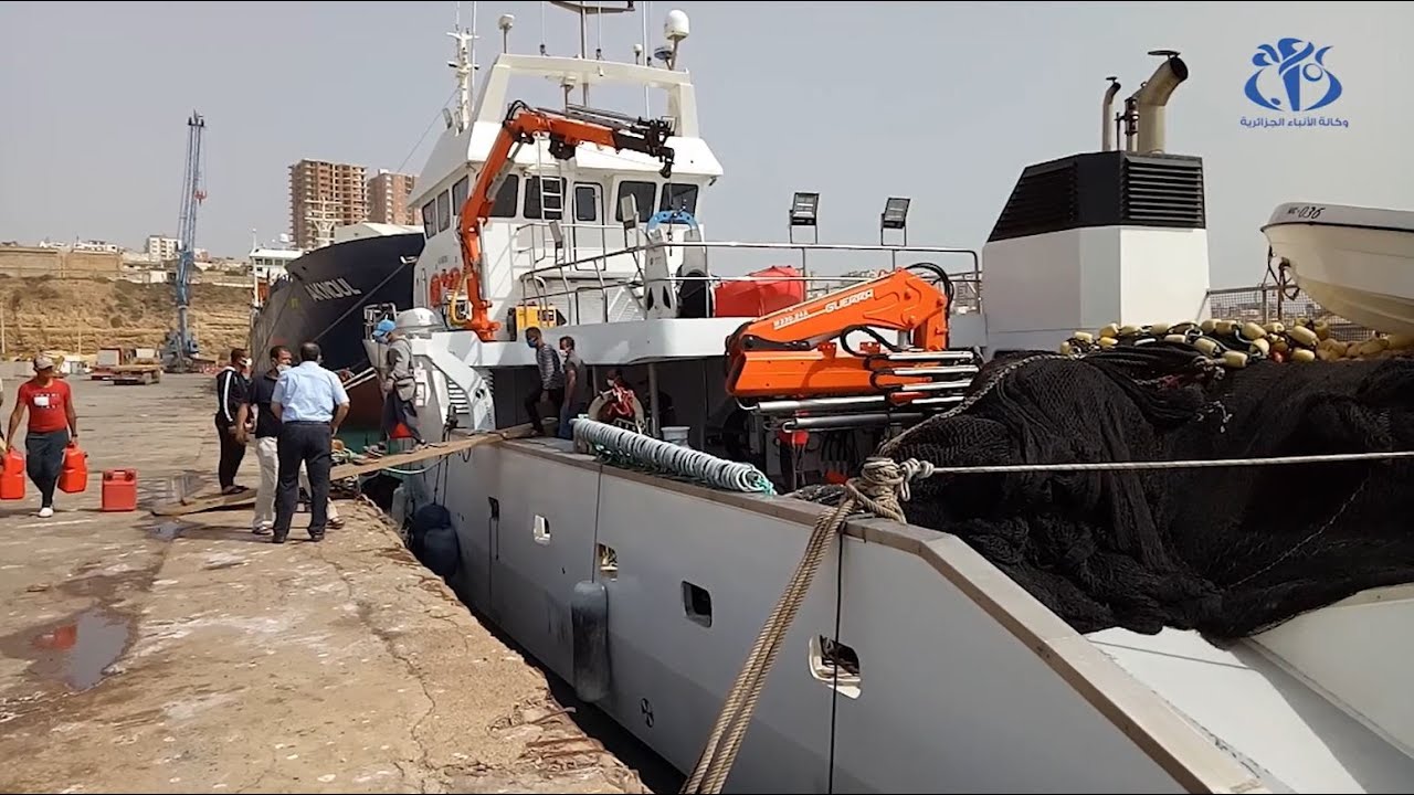 وزارة الصيد البحري تطلق أول دفعة تكوين للبحارة بدون مستوى تعليمي