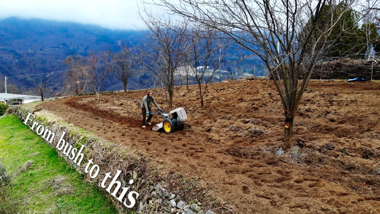 #24 Clearing out my abandoned terrain in Italy