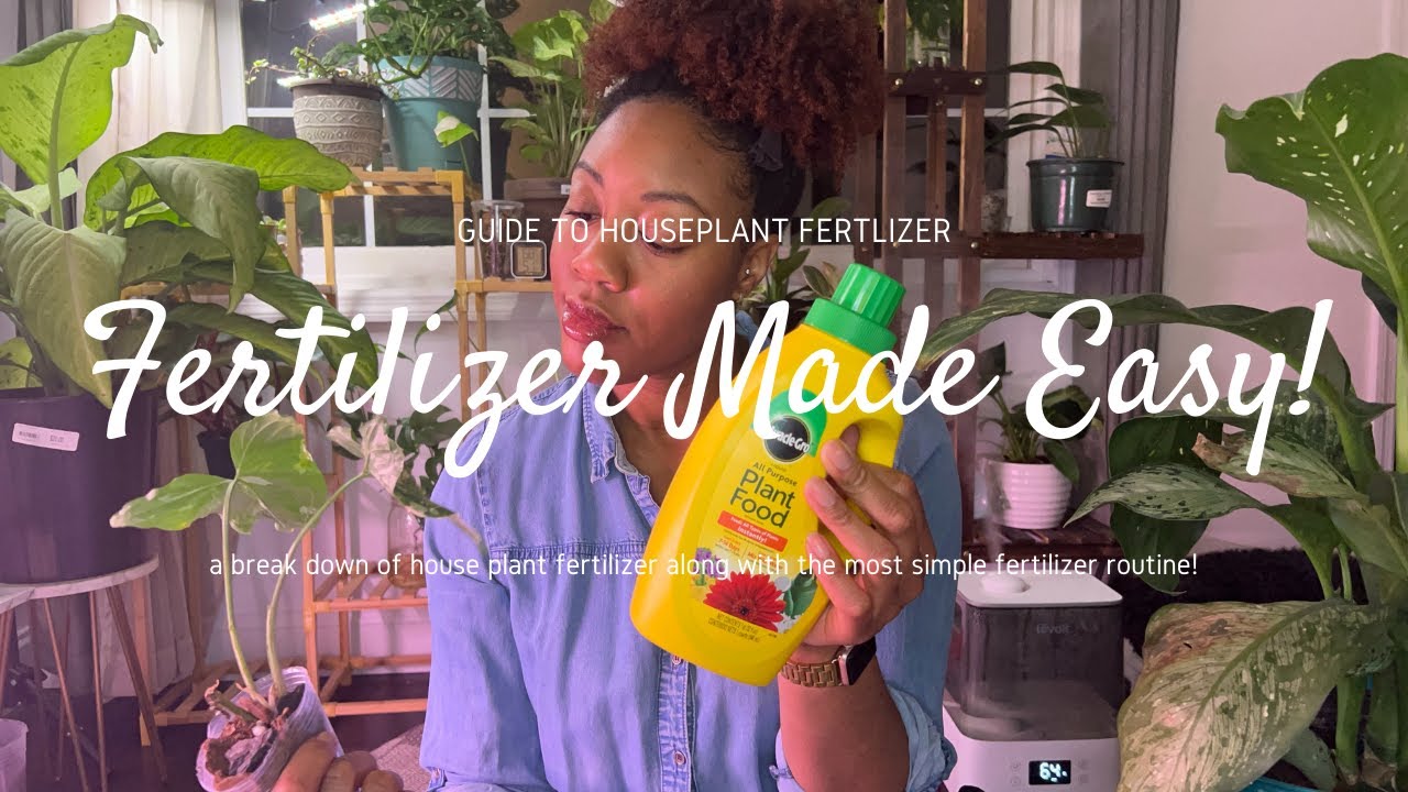 Easy House Plant Fertilizer | Fertilizer For Beginners | Easy & Effective Routine
