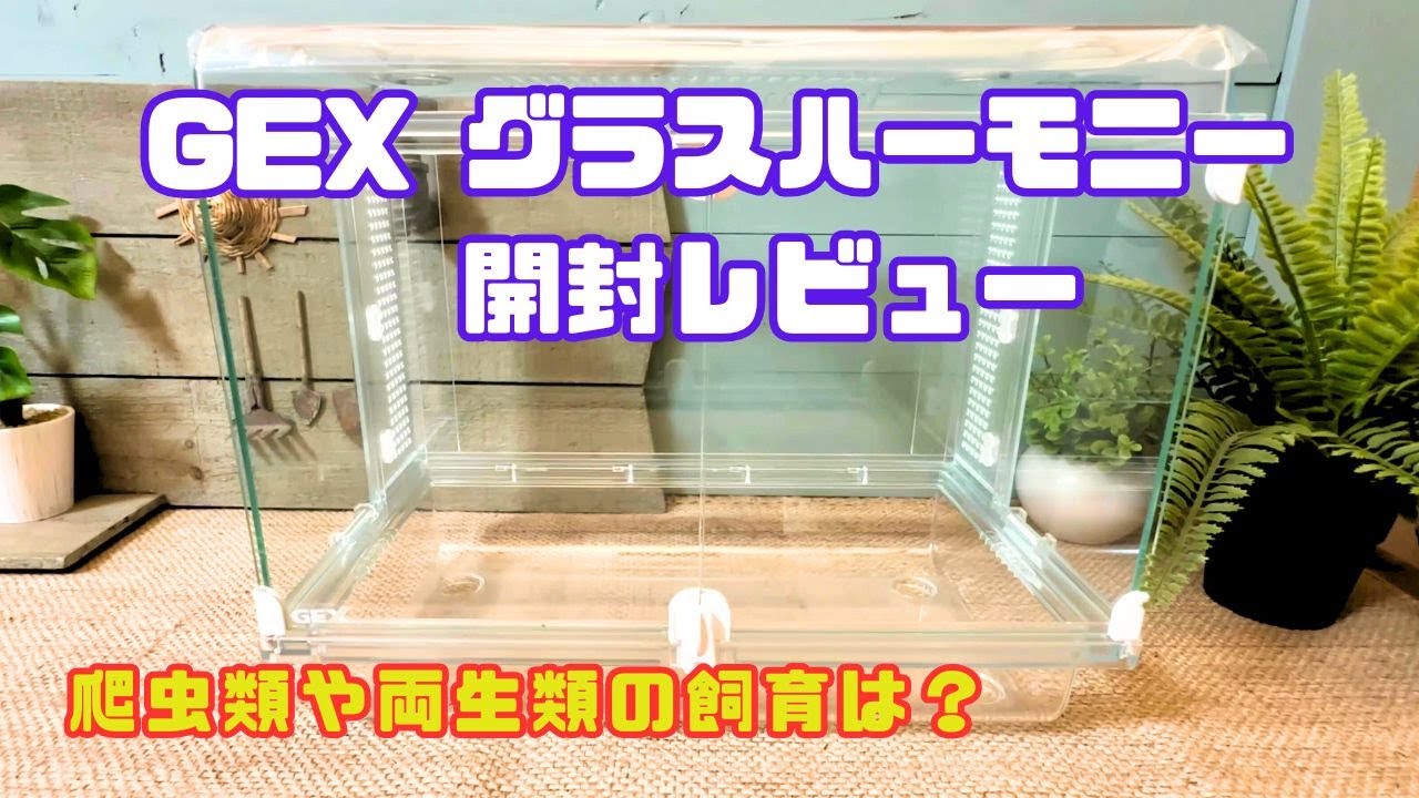 GEX(ジェックス)グラスハーモニー360high 開封！使い勝手やおすすめポイントを徹底評価＆レビュー