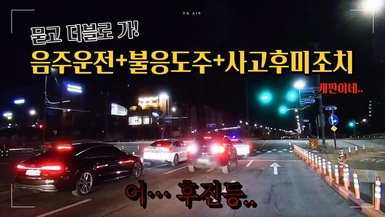 [파주야당] 범죄 종합선물세트 대령이오~음주+도주+단독사고