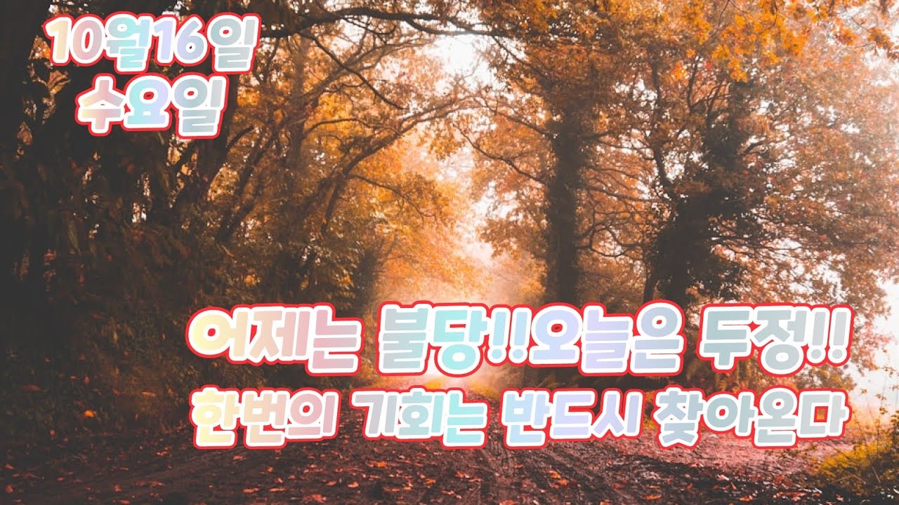 연어대리 10월16일 어제는 불당!!오늘은 두정!!한번의 기회는 온다!!