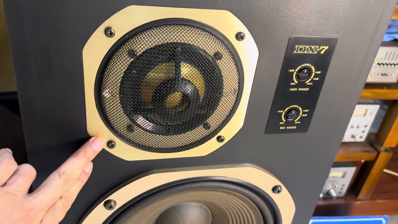 Loa CORAL DX-7 kiềng gol gỗ Lạng siêu đẹp đứt tay ạ giá quá rẻ nghe hay bày đẹp bát 31cm 0966603183