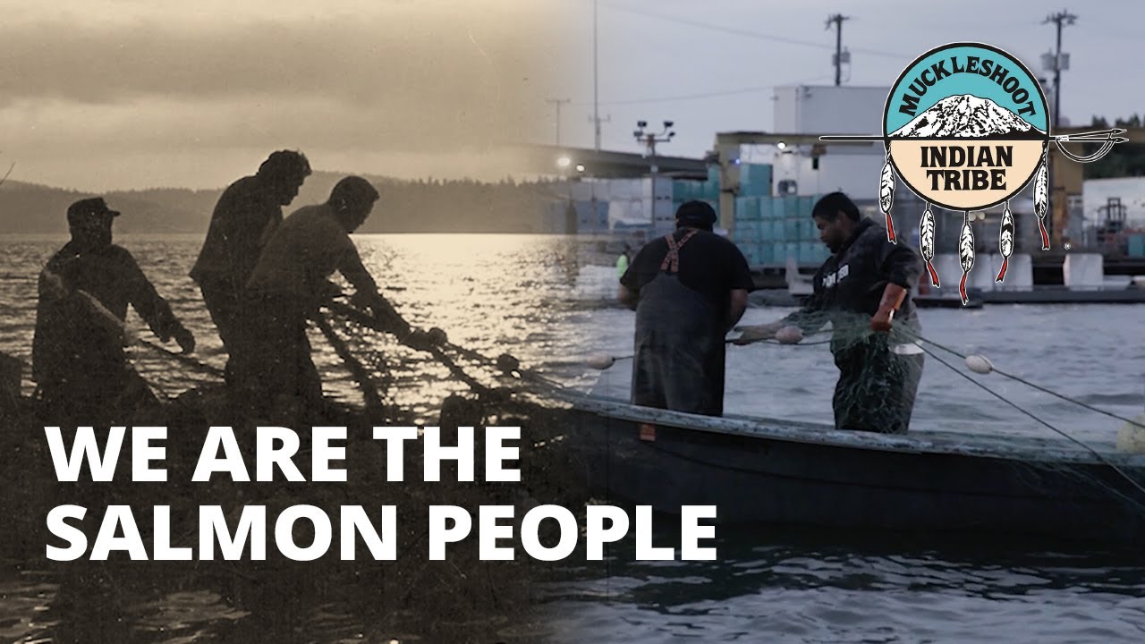 The Salmon People's Struggle to Survive: the Story of Muckleshoot Fisheries