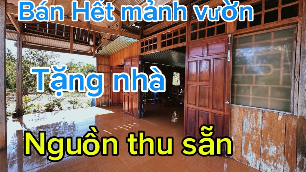 Về quê bán hết toàn bộ mảnh vườn có nguồn thu là tiêu và cây ăn trái,có nha gổ 3 gian,có chuồn trại 
