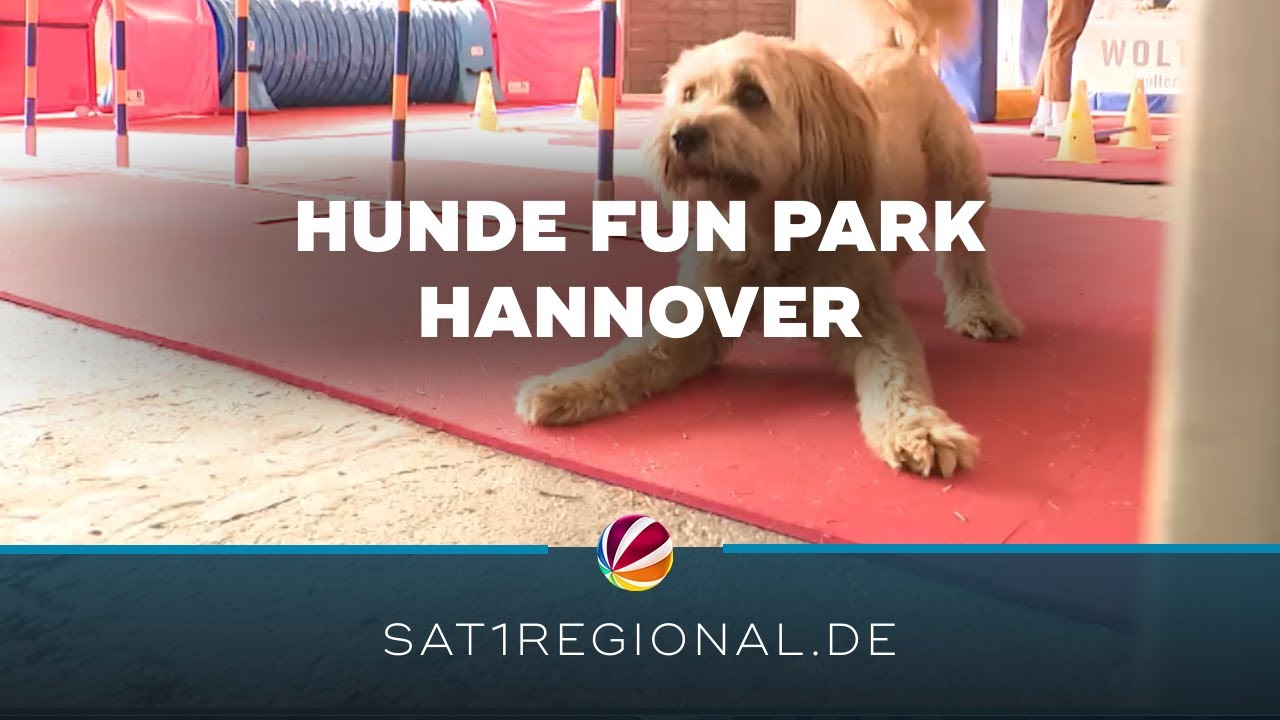 Hunde Fun Park: Riesenspa&szlig; f&uuml;r Vierbeiner in Hannover
