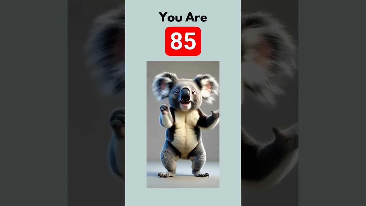 You are 85 Hooray! Happy 85th Birthday Song.  Find Your Age &  Share a Birthday Song.