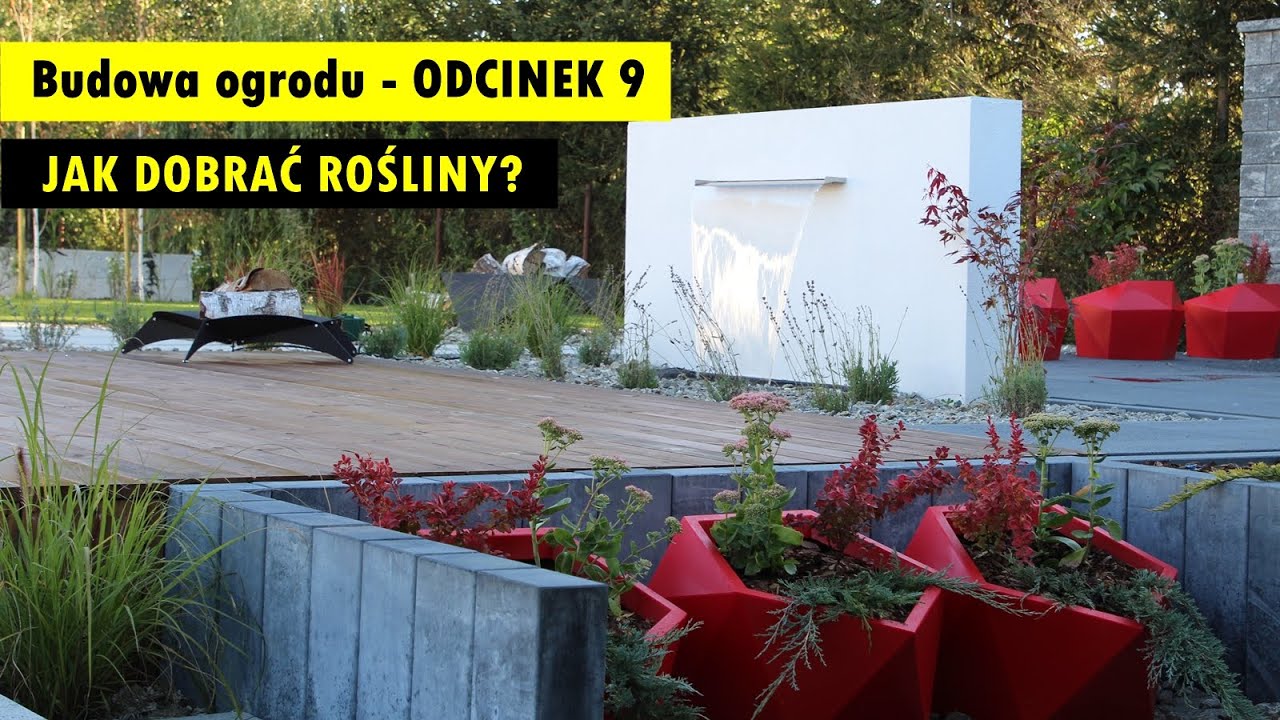 Jak dobrać rośliny do ogrodu?