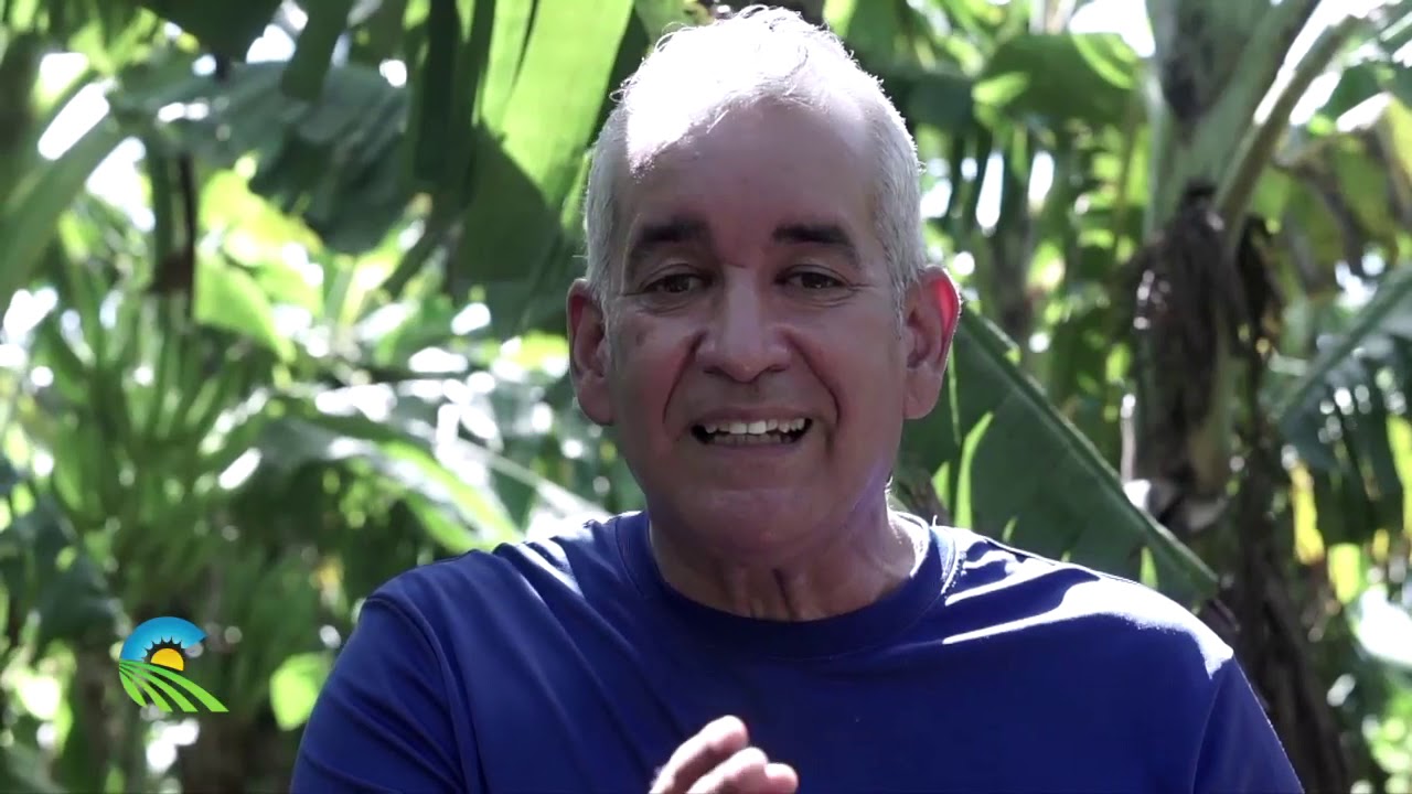 ESTO CUESTA UN PLÁTANO EN LA REPUBLICA DOMINICANA