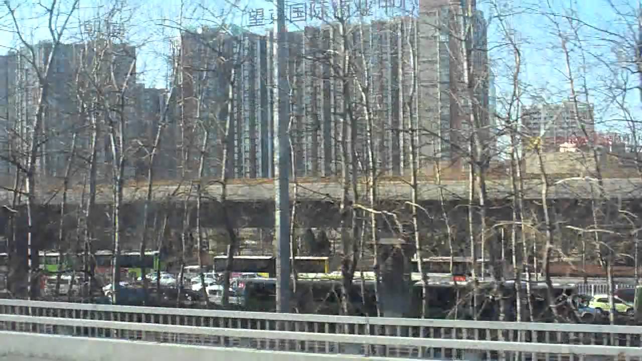 Beijing trees & towers