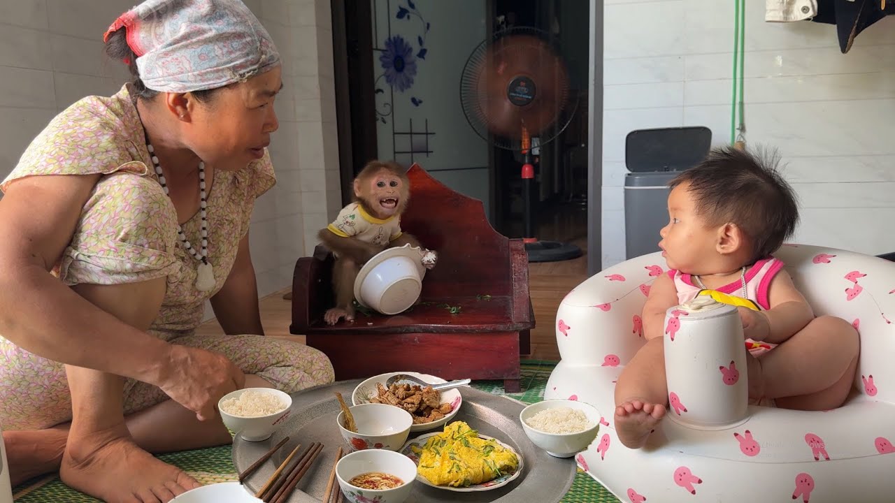 Monkey David took his own bowl to eat with his family