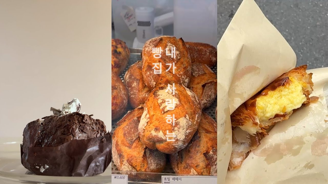 대전 대표 빵순이의 내가 자주가는 대전 빵집 브이로그 [ 베이커리하모니 | 더베이커 | 하레하레 | 성심당 | 플래닛타르트 | korean vlog ]