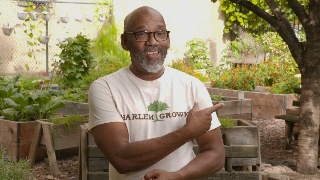 Limo Company Owner-Turned-Gardener Turns Vacant Lots Into Urban Gardens for NYC Kids In Need