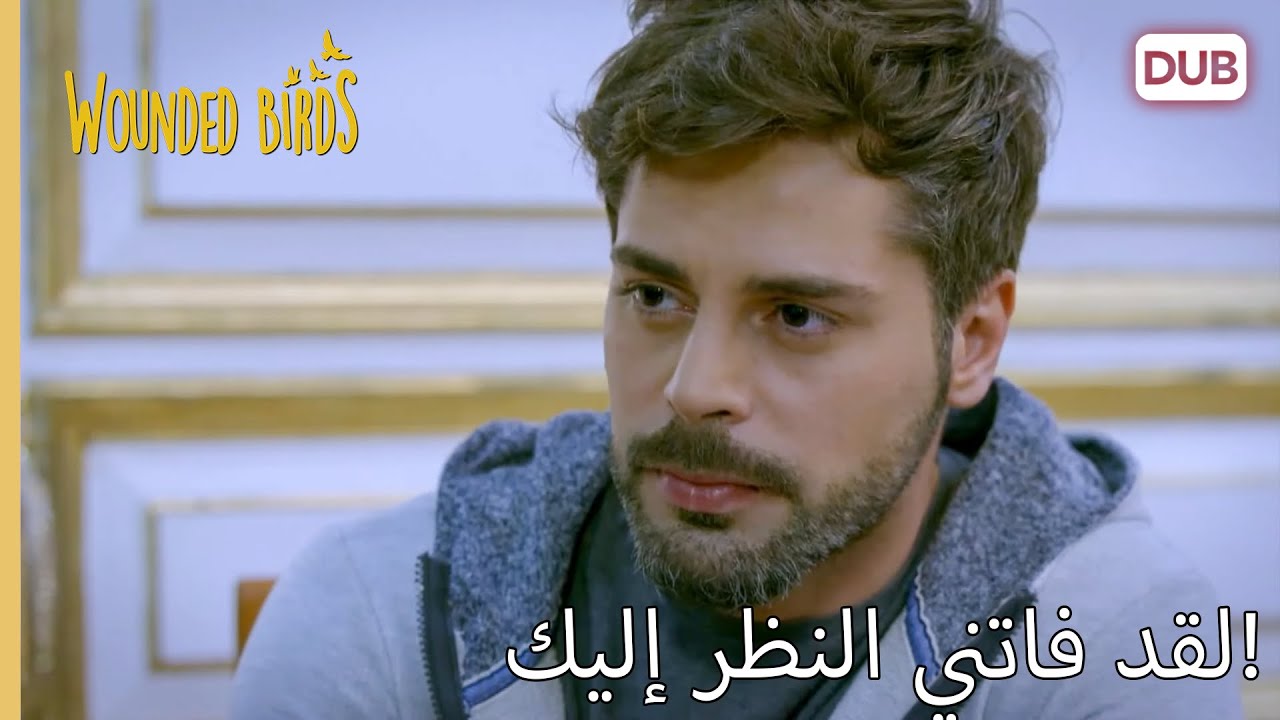 لقد فاتني النظر إليك!  |  الطيور الجريحة 196