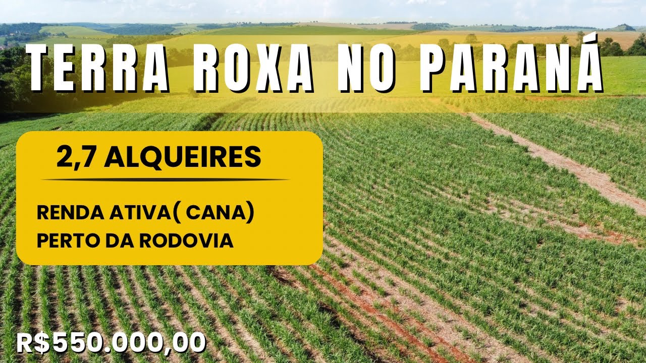 TERRA ROXA NO NORTE DO PARANÁ- 2,7  ALQUEIRES JÁ RENDENDO