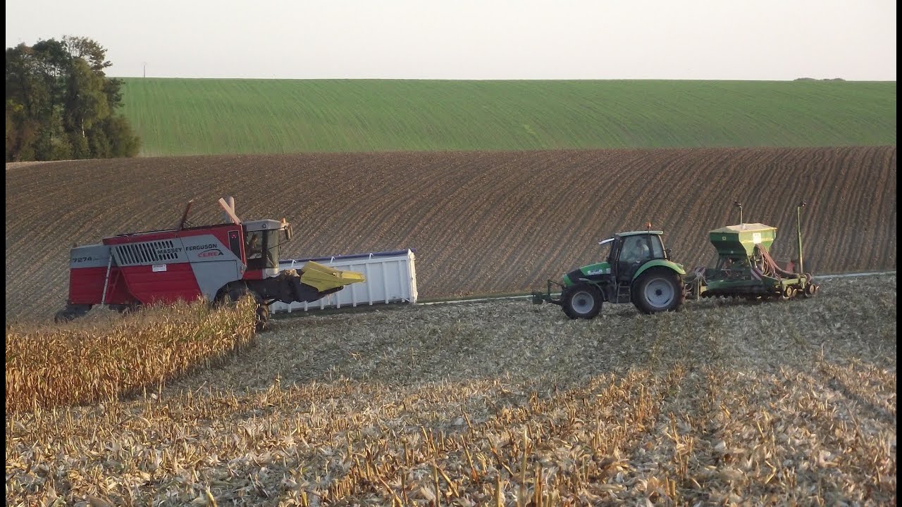 JOHN DEERE 750A au semi direct de blé dans du Maïs en 2011
