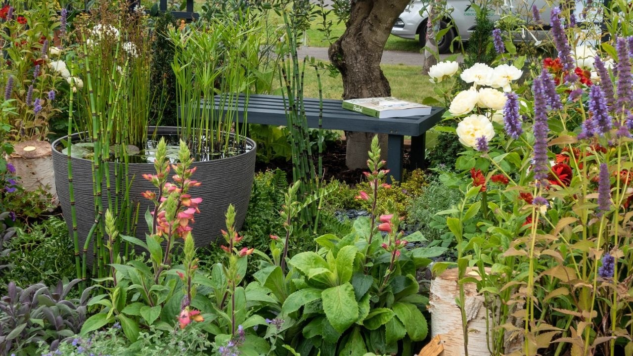 Raised pond myths - why a garden pond is so much easier than you think