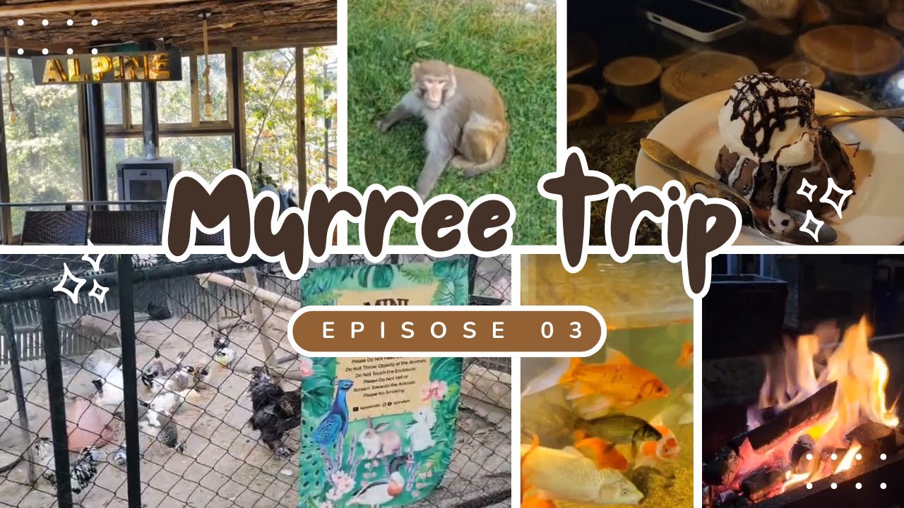 Murree Vlog Ep 03 #murree #nathiagali #mountains #nature #peace