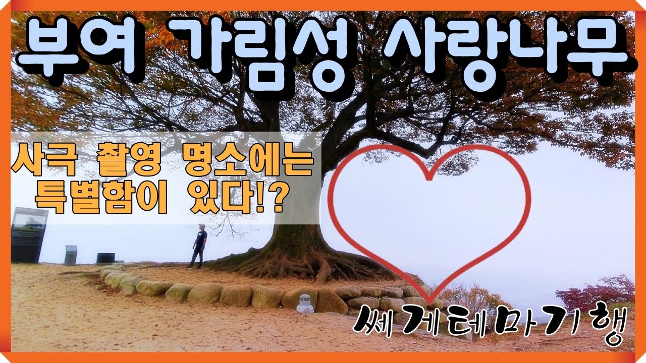 부여 가림성 사랑나무. 최고의 사극 촬영지 [쎄게테마기행]
