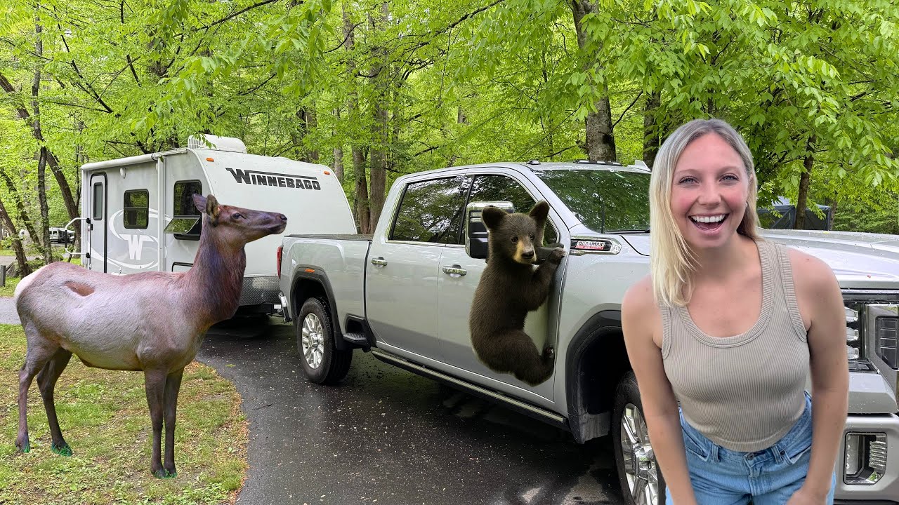 We’ve Waited 3 Years to See THIS - Camping In Great Smoky Mountain National Park