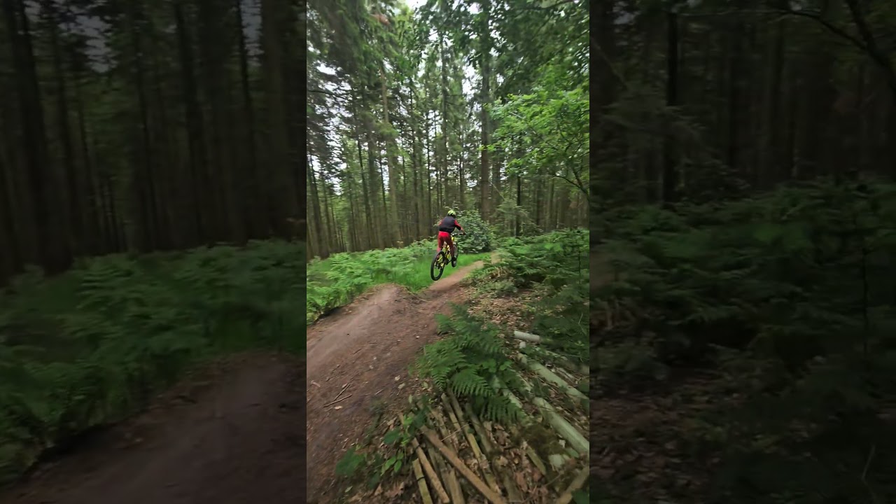 Love this trail at Triscombe #mtb #bicycle #downhill #like #follow #subscribe #downhillmtb