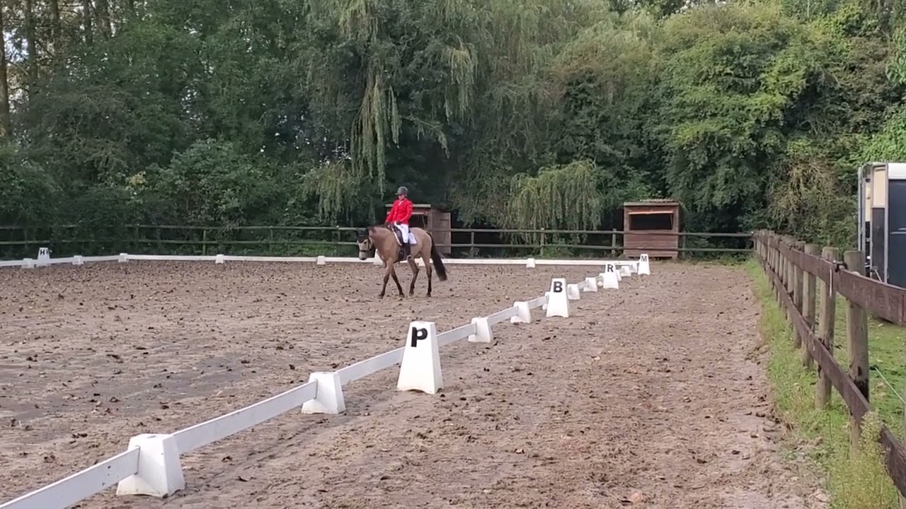Dressage Amateur 2B