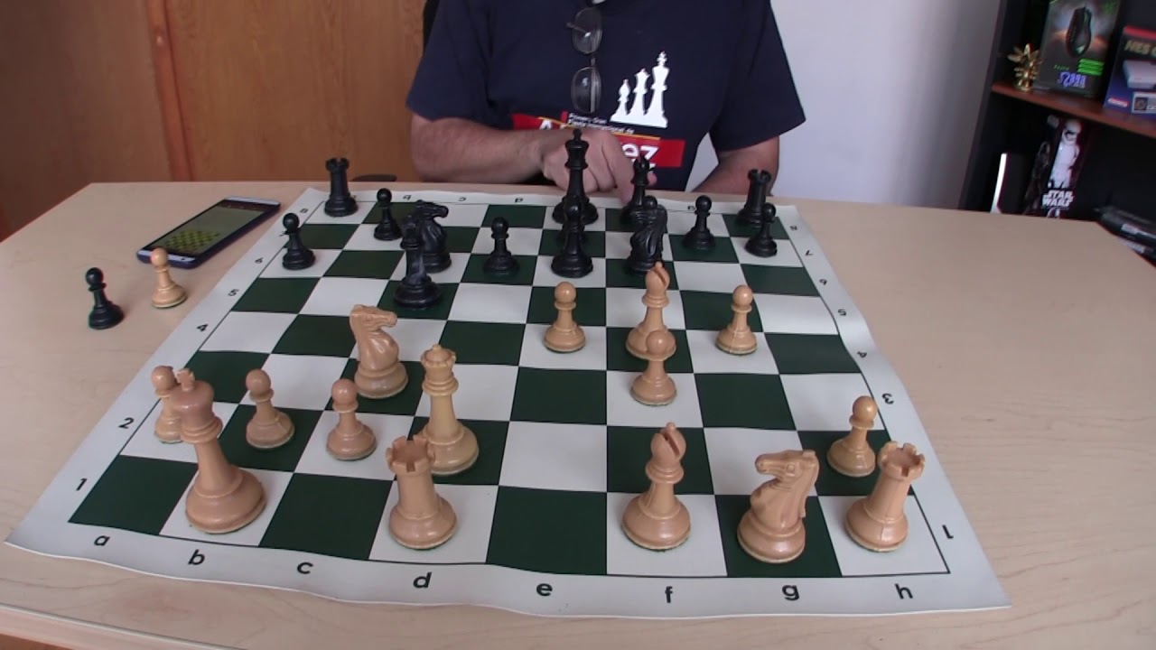 Kasp&aacute;rov VS Morsa (An&aacute;lisis)