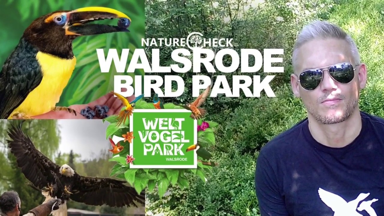 A Day at the World's Largest Bird Park