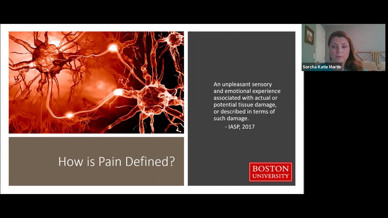 Applied Pain Science Foundations with Sorcha K Martin, PT DPT FAAOMPT