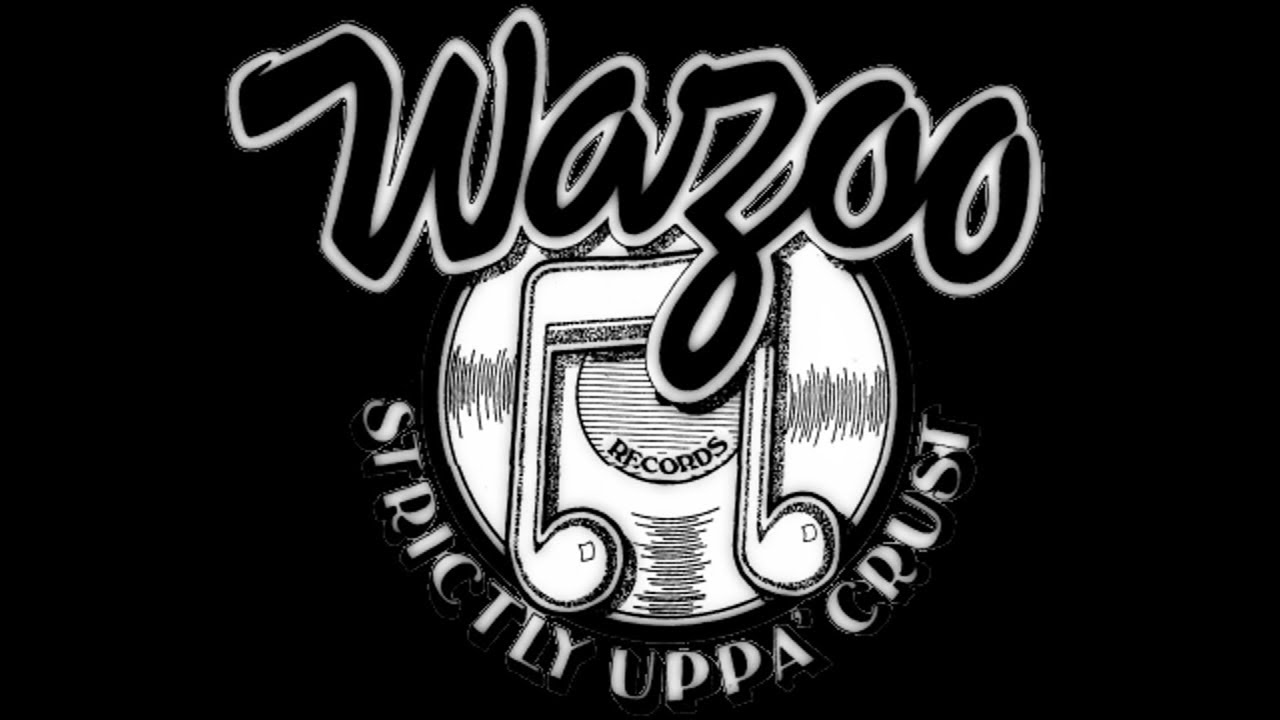 Record Stores Across America | Wazoo Records | Ann Arbor Michigan