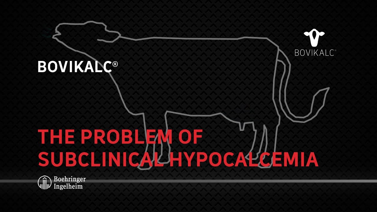 The Problem of Subclinical Hypocalcemia