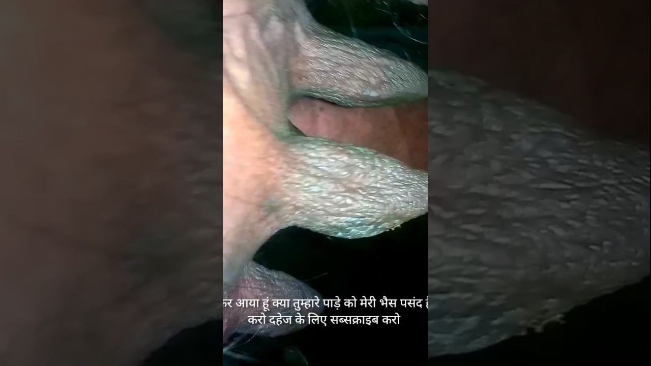 Dowry Drama 😂 - जब लड़की वाले बोले 'और चाहिए! #DowryDrama #FunnyShots #WeddingBlunders #MarriageLaug