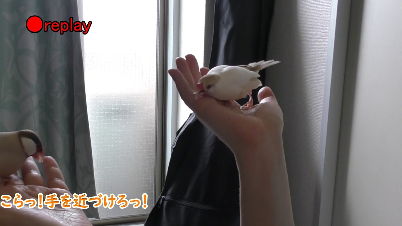 本日の闘い #144