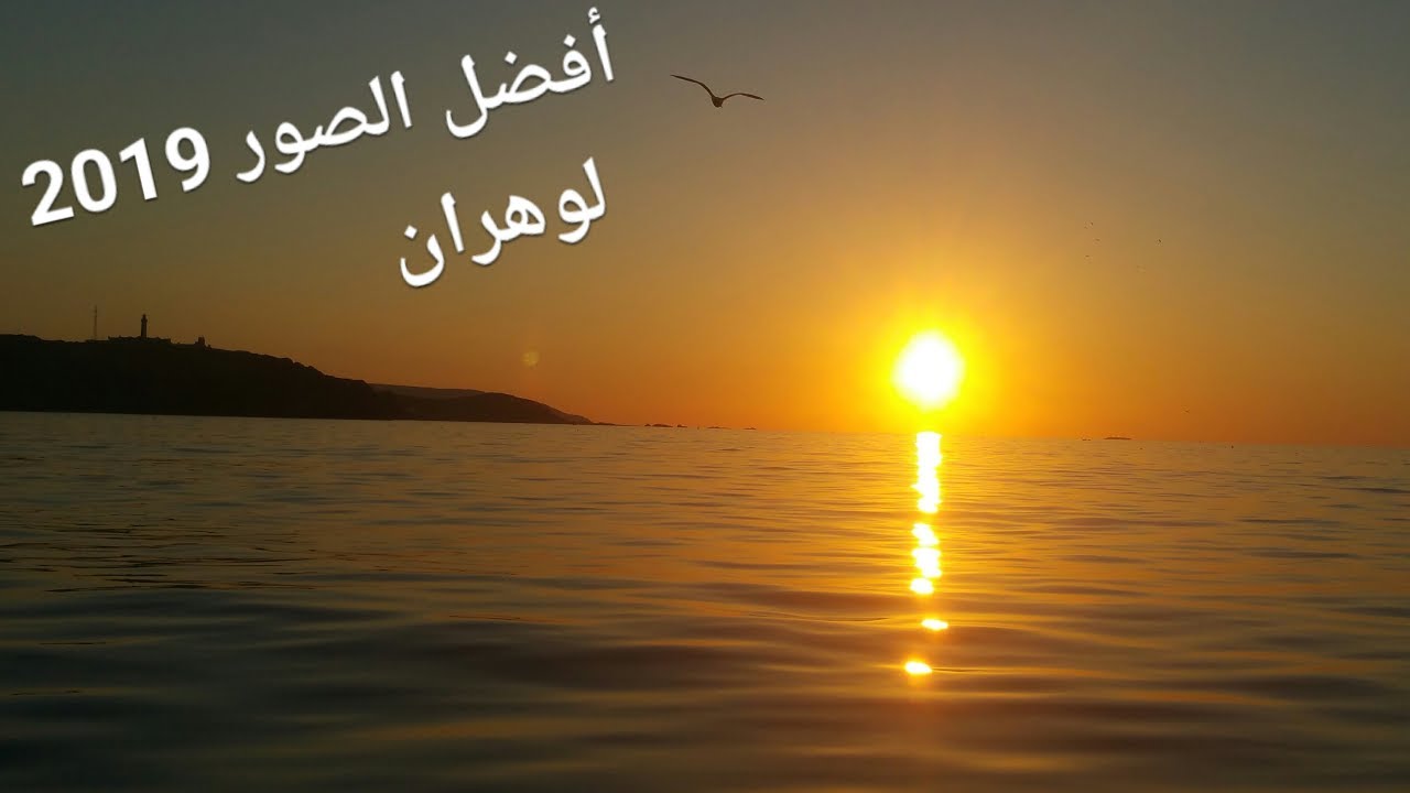 أجمل صور لرأس فالكون 2019 وهران nature algerie oran