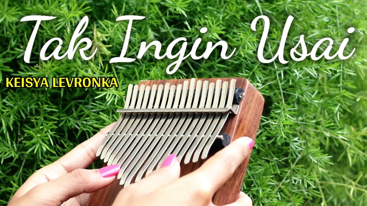 Tak Ingin Usai - Keisya Levronka (Kalimba Cover with Tabs)