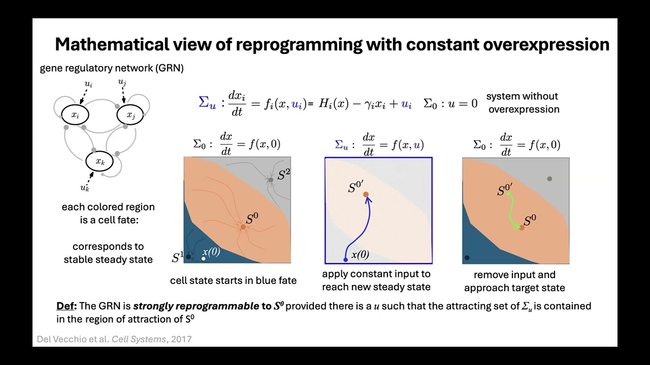08. Domitilla Del Vecchio: A control Systems Approach to Cell Fate Reprogramming