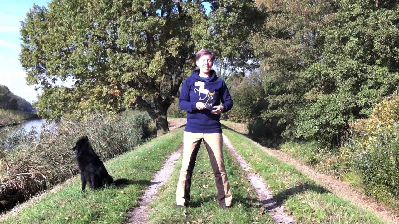 Stephanie Hornung - Biegung und Wendungen reiten mit dem Scheinwerfer