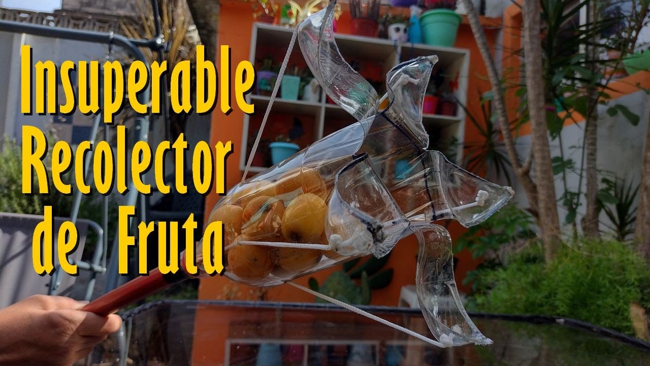 Insuperable RECOLECTOR de FRUTAS reciclando una BOTELLA Plástica