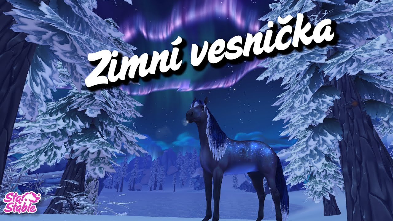 Zimní vesnička | Nakupovačky Novinky | SSO