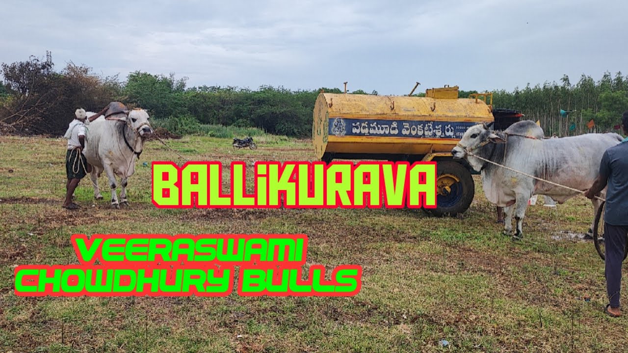 17 July 2022 veeraswami Chowdhury ballikurava arrived shakamuru, Prakasham