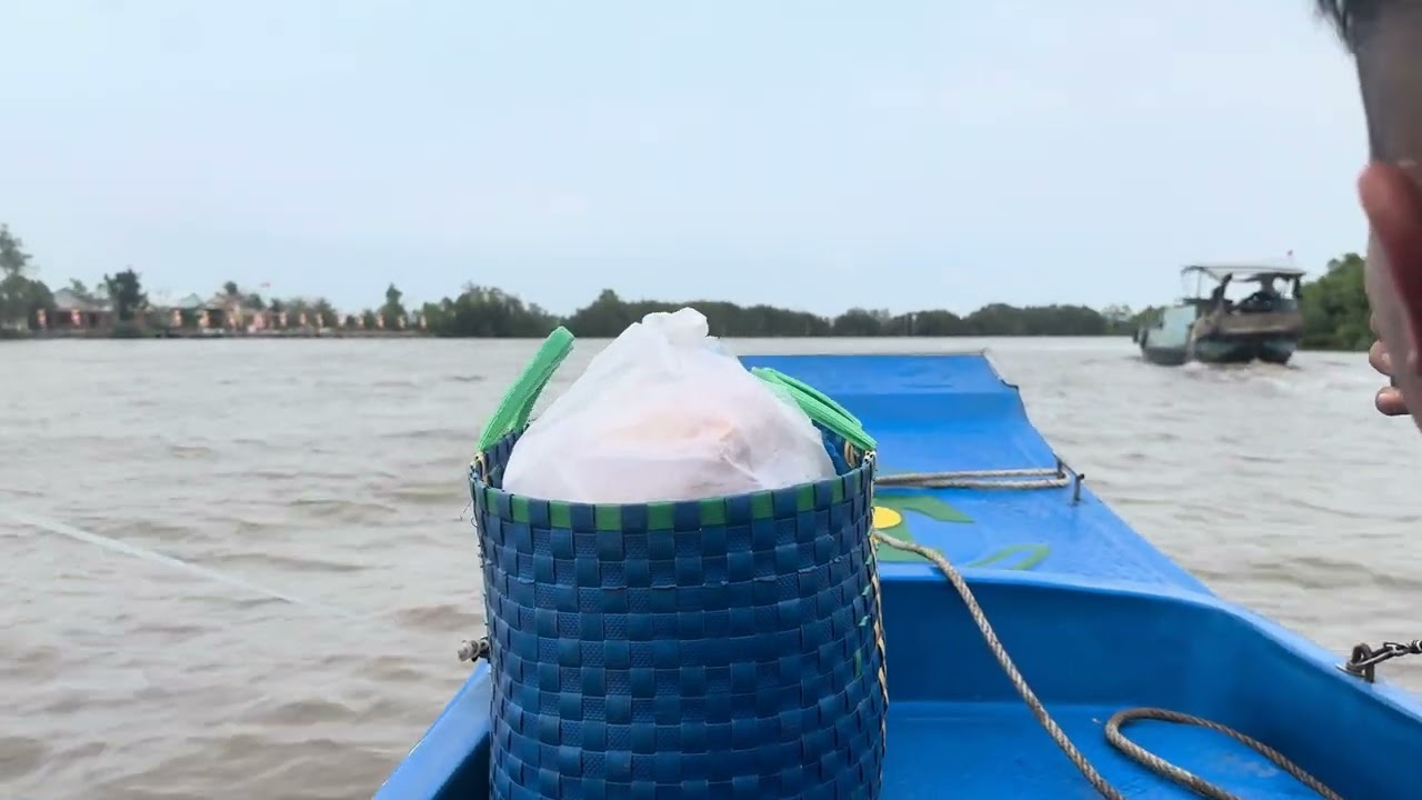 Giờ mới trãi nghiệm đường thuỷ đúng cảnh sông nước miền Tây 