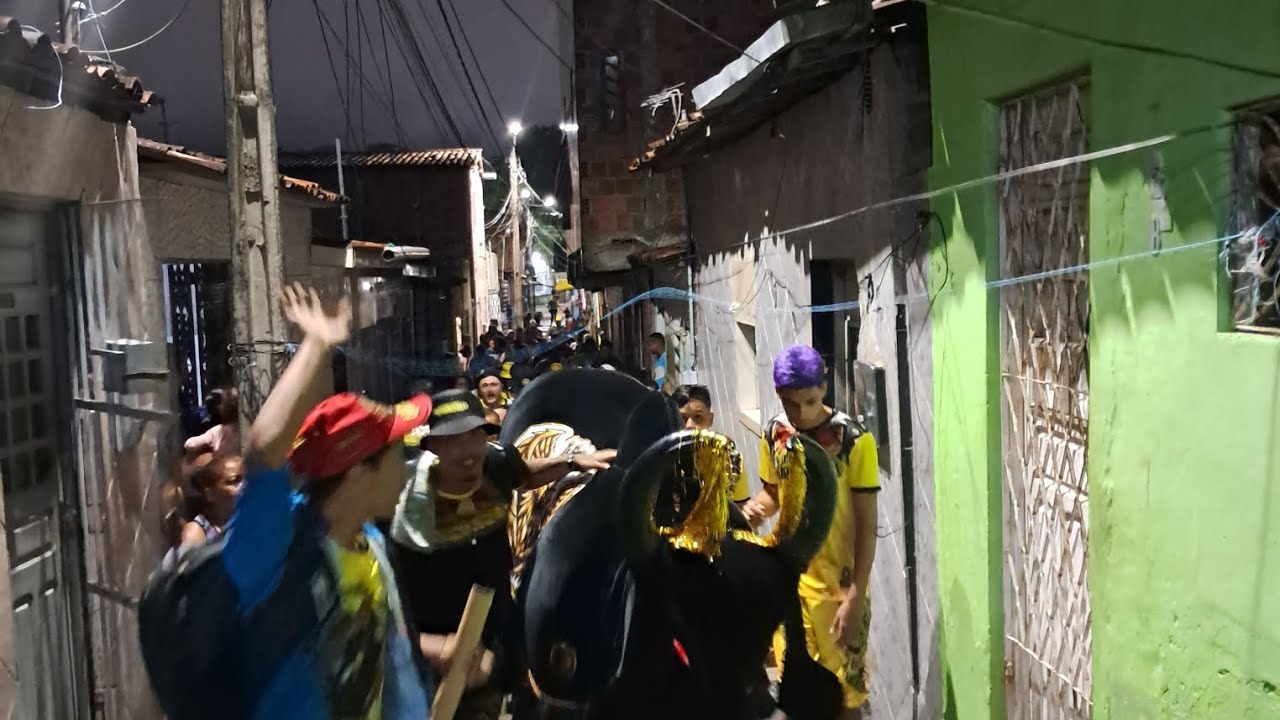 Boi imperador 2026 Destino Desfile Oficial #carnaval #carnaval2026 #bumbameuboi 