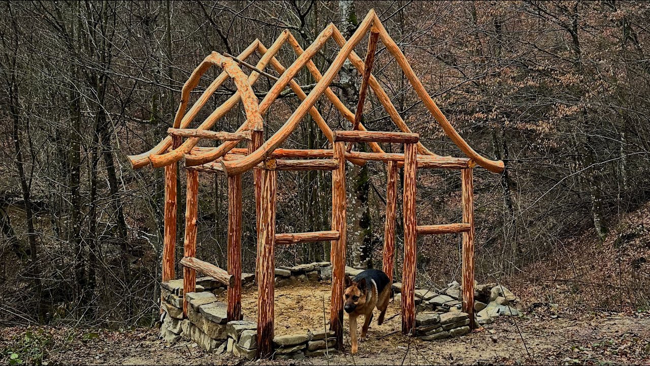 Creating a wooden Bushcraft House. Skills in the Wild Forest