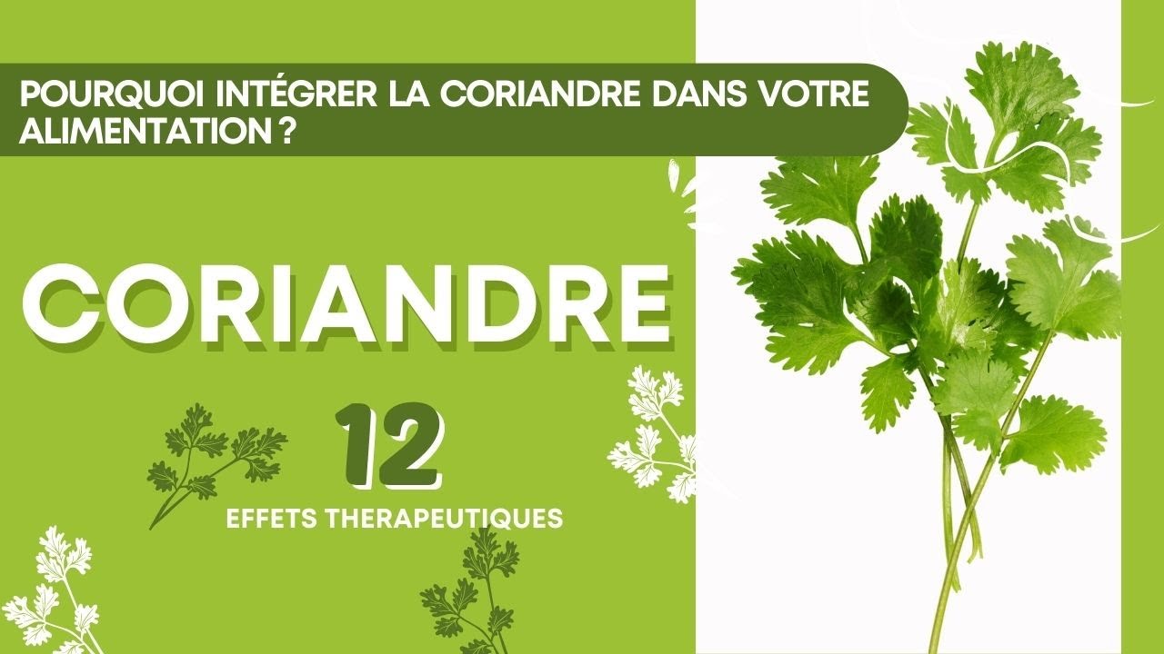 12 raisons d'int&eacute;grer la CORIANDRE dans vos plats #bienfaits #coriandre