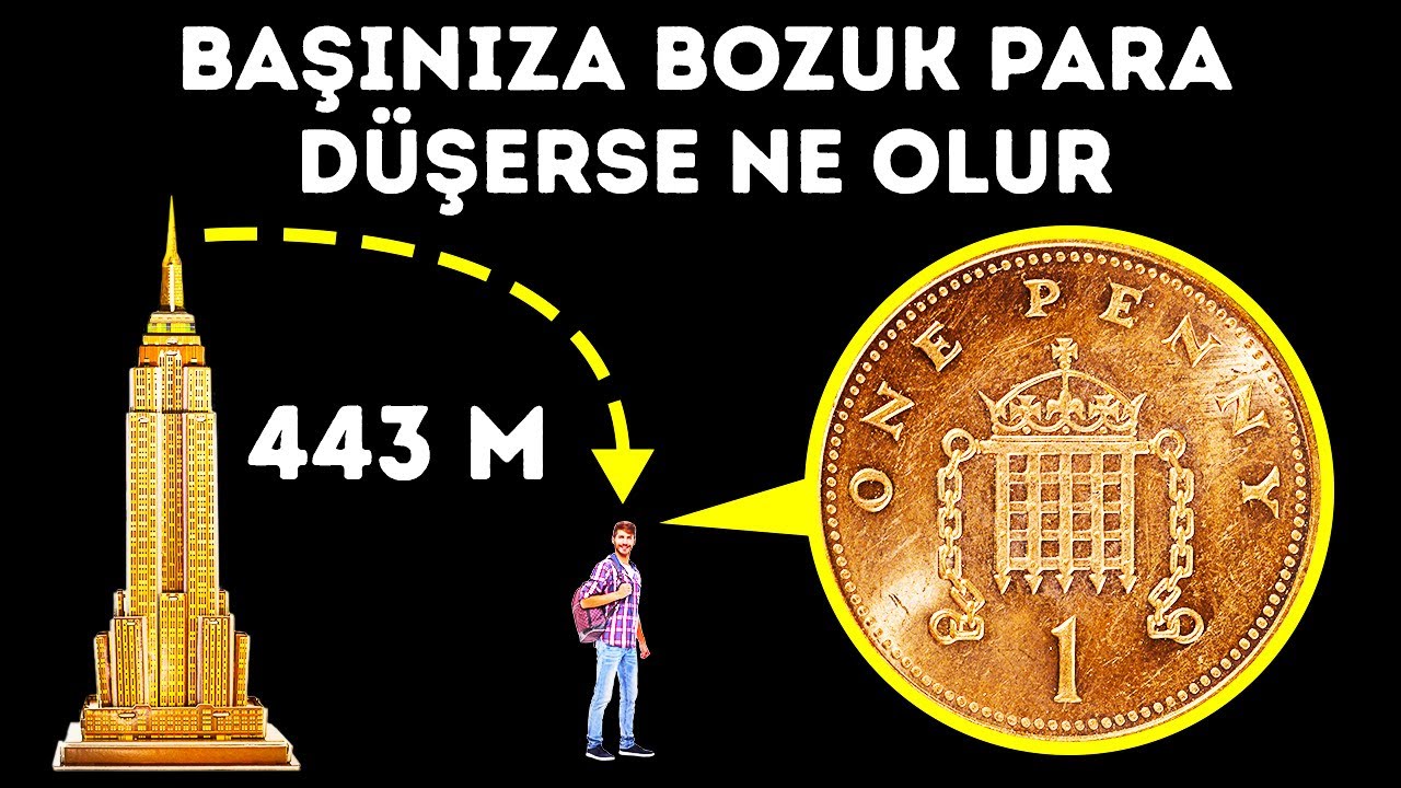 Beynimizin Sadece %10’unu Kullanıyoruz Efsanesi Ve İnsanların İnanmayı Bıraktığı Diğer Klişeler