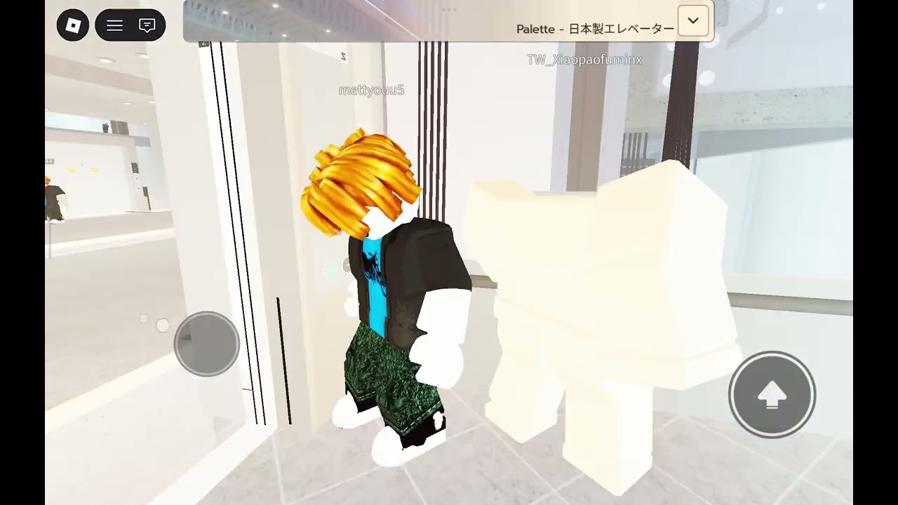 Pallete Elevator Collection Japan|(Other Elevator in the link video or bio)