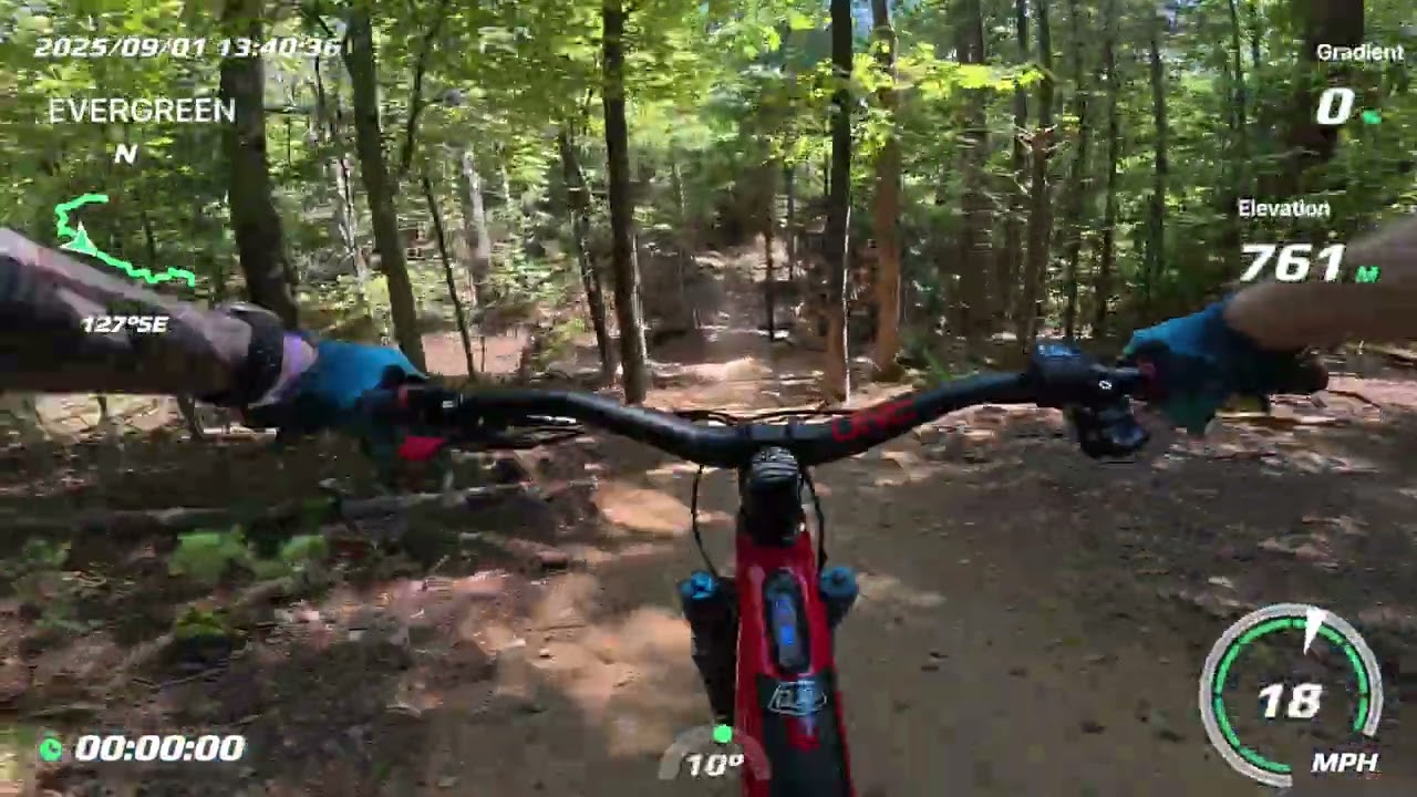 Kanuga Evergreen