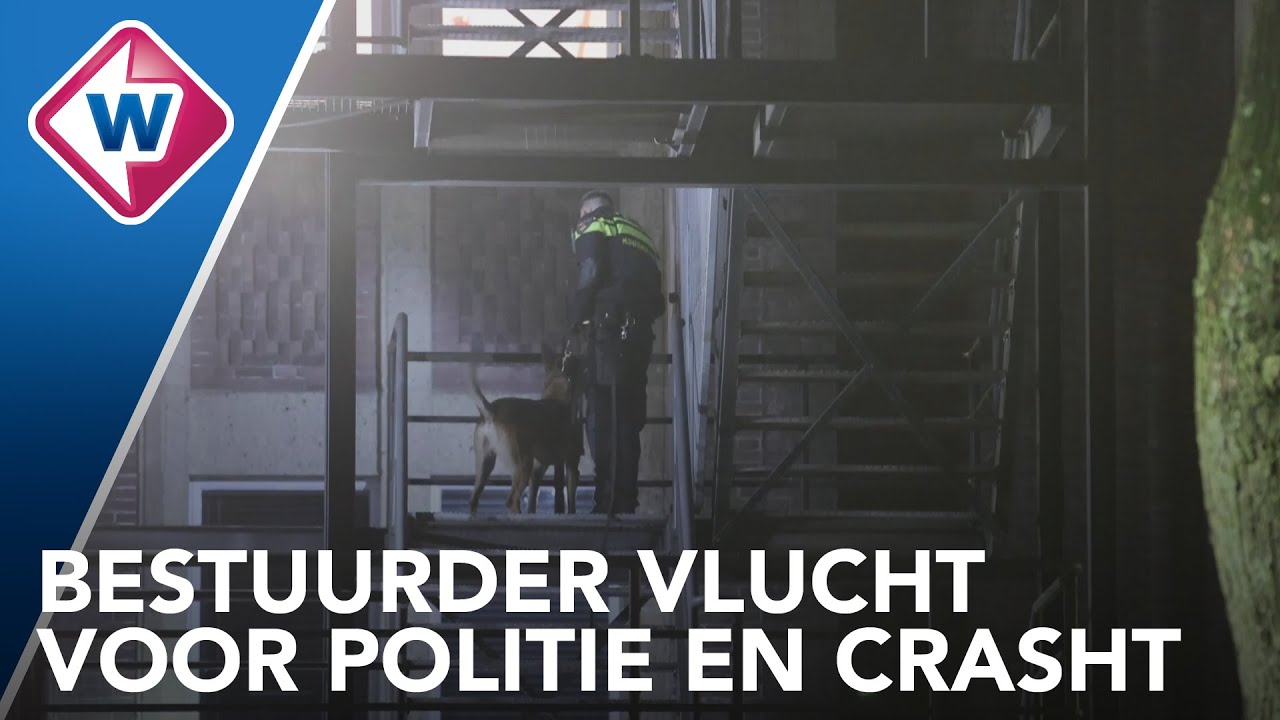 Achtervolging eindigt met crash in Delft, politie zoekt met honden naar verdachte - OMROEP WEST